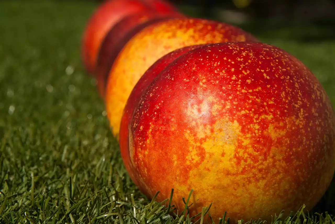 Tecniche di sbollentamento della frutta: come preparare pesche, pomodori e altro